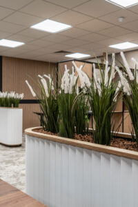 White office planter with tall green plants with white blossom